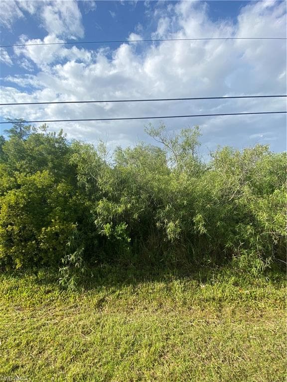 3894 Mango ST, OTHER FL 33956-1