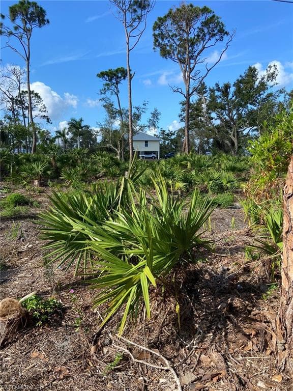 7261 Guava AVE, BOKEELIA FL 33922-6