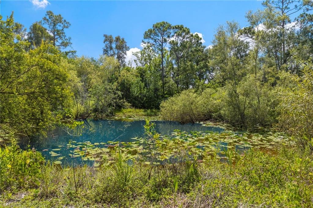 13100 Pinto LN, FORT MYERS FL 33912-4