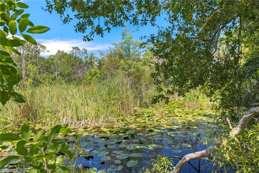 13100 Pinto LN, FORT MYERS FL 33912-7