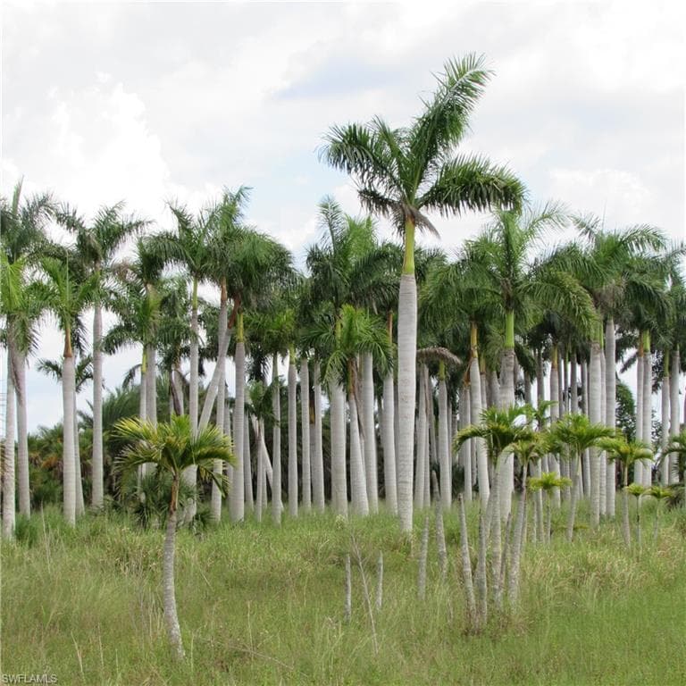 14900 Stringfellow RD, BOKEELIA FL 33922-5