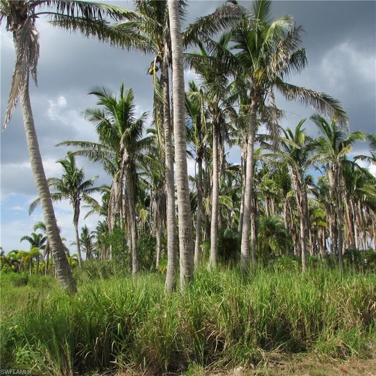 14900 Stringfellow RD, BOKEELIA FL 33922-6