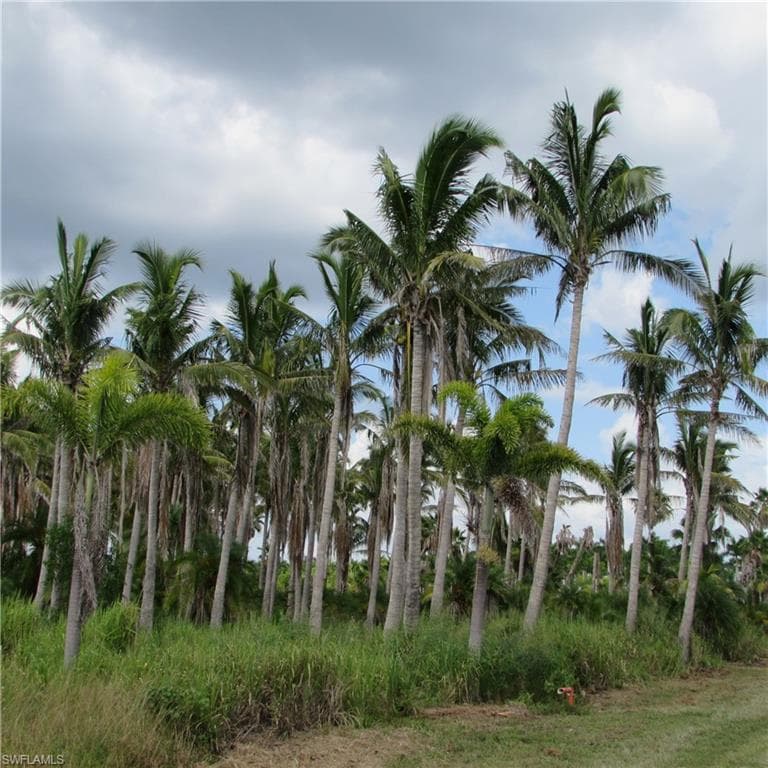 14900 Stringfellow RD, BOKEELIA FL 33922-18