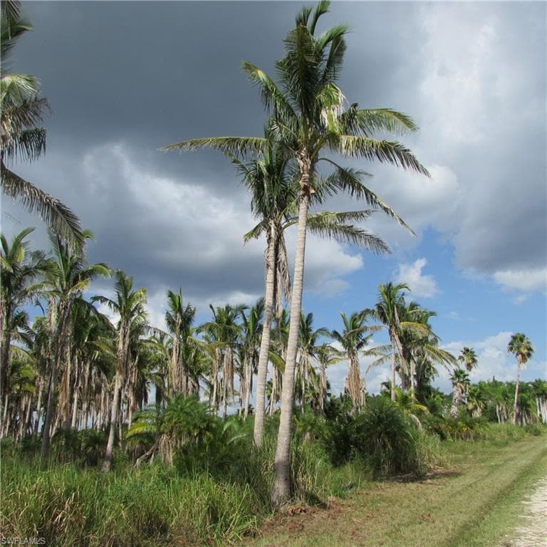 14900 Stringfellow RD, BOKEELIA FL 33922-34