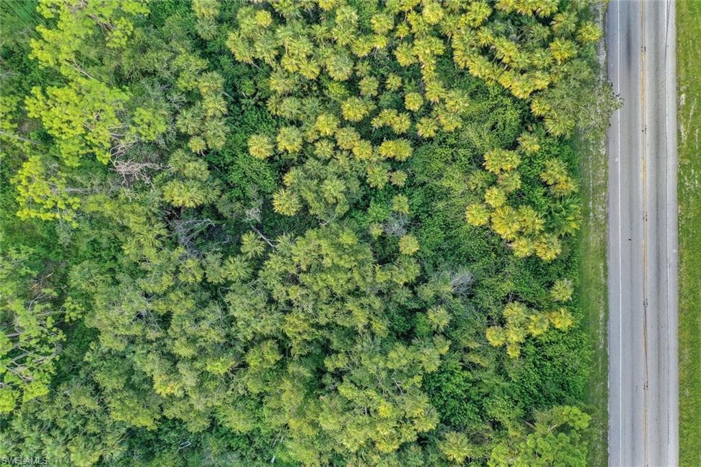 11731 Bayshore RD, NORTH FORT MYERS FL 33917-8