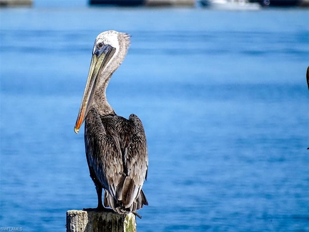 760 Sextant DR # 223, SANIBEL FL 33957-40