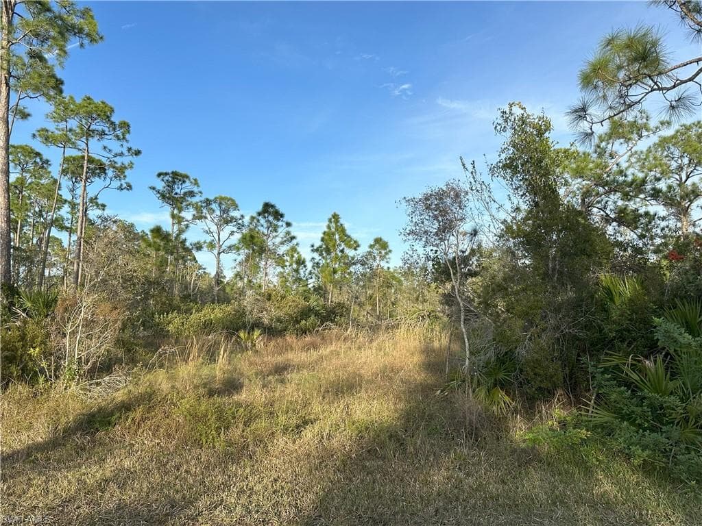 12135 Ludden CT-13