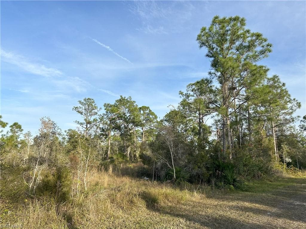 12135 Ludden CT-12