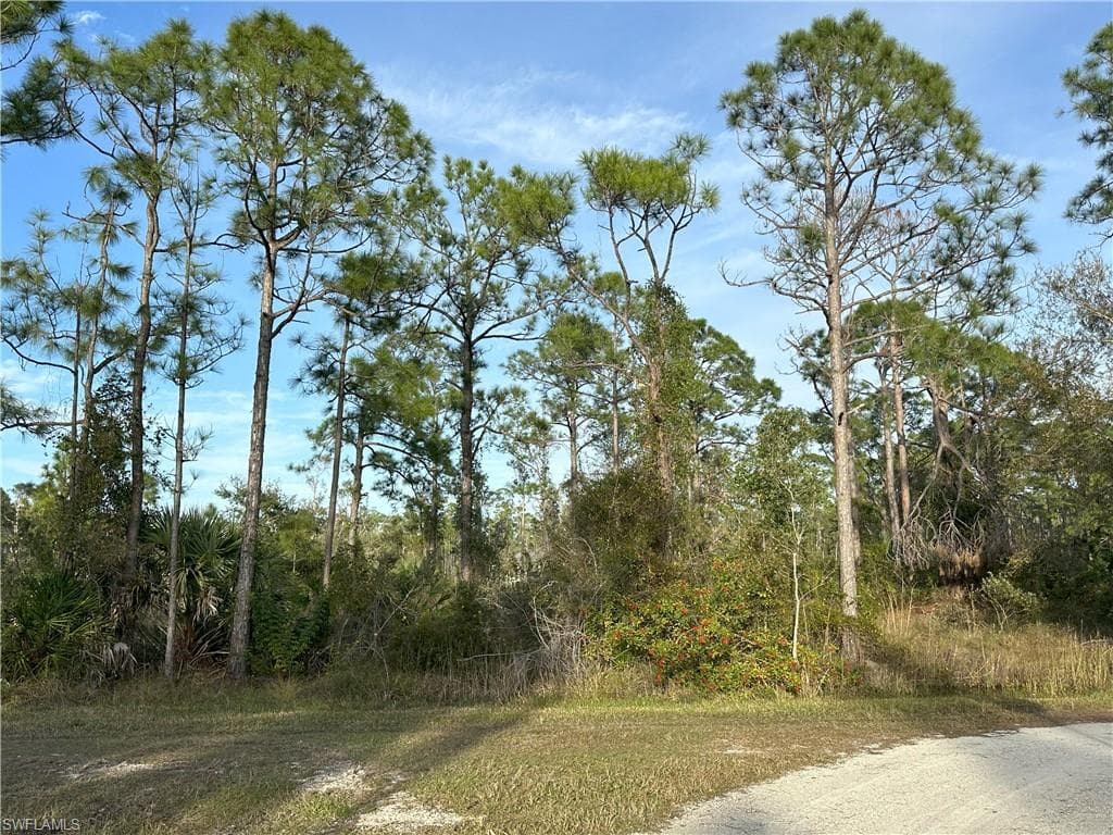 12135 Ludden CT-8
