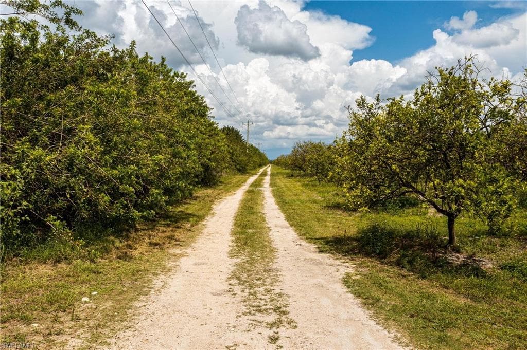 21995 Carter RD, ESTERO FL 33928-1