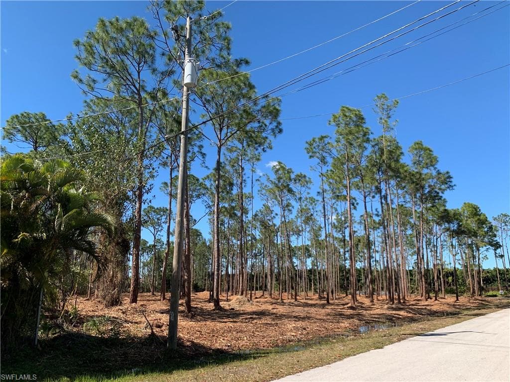 24000 Golden Eagle LN-0