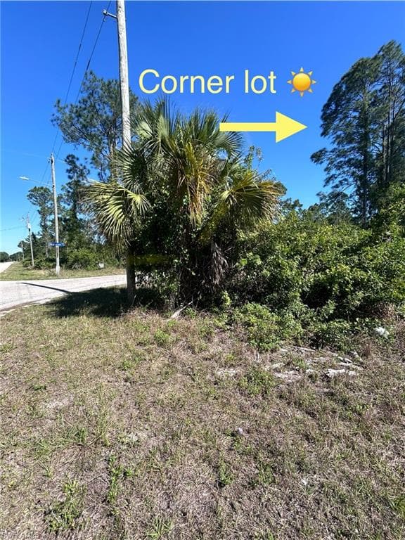 3706 E 21st ST, ALVA FL 33920-1