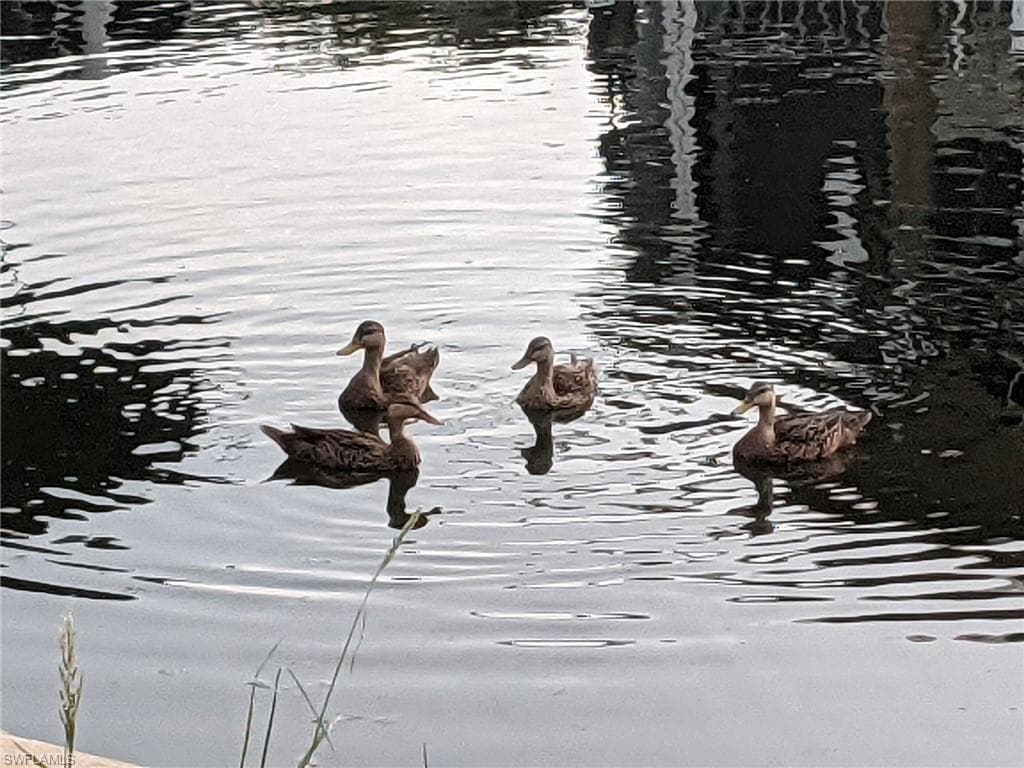 36 Emily LN, FORT MYERS BEACH FL 33931-19