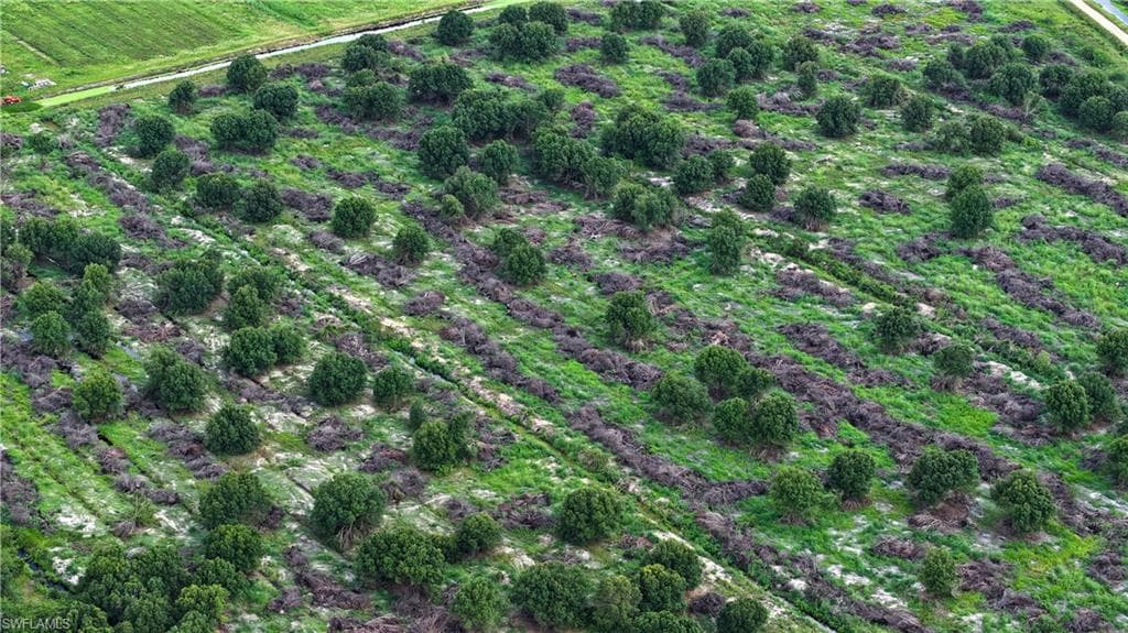 2nd RD, LABELLE FL 33935-5