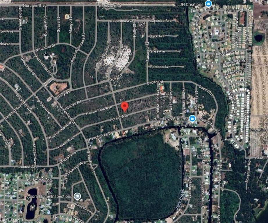 3049 Cedar Hill AVE, LAKE PLACID FL 33852-8