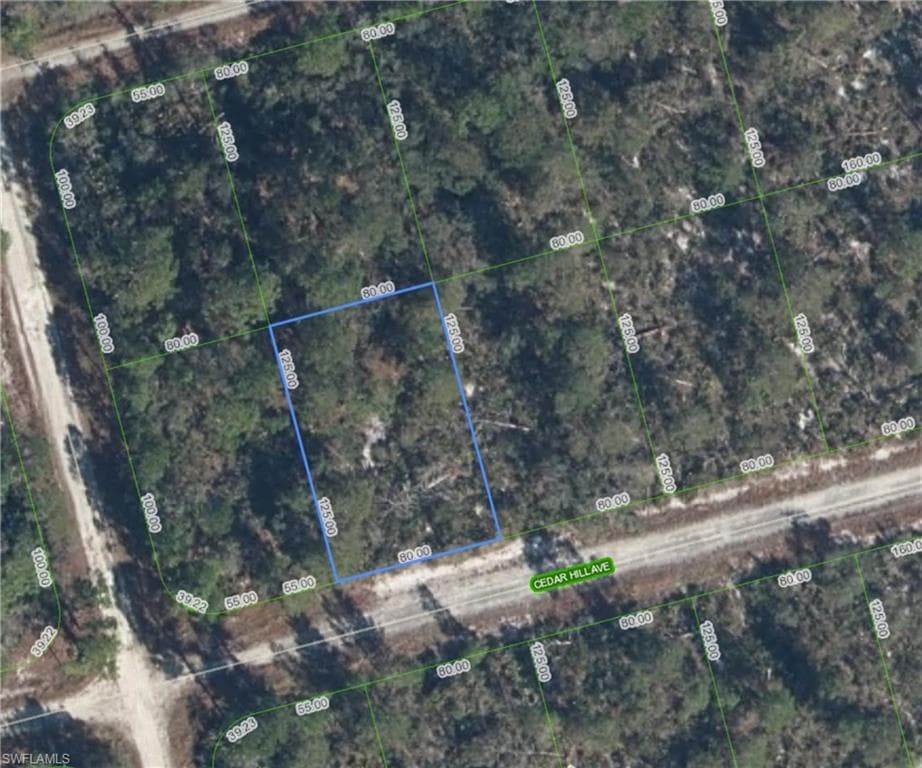 3049 Cedar Hill AVE, LAKE PLACID FL 33852-9