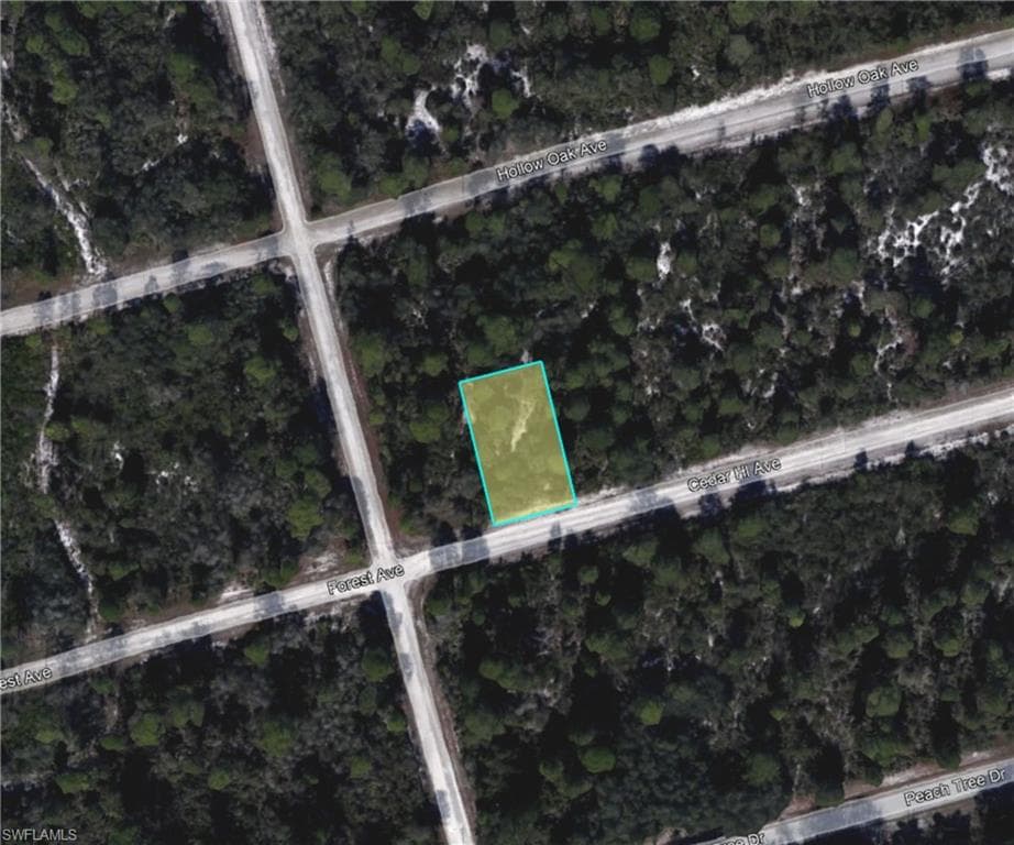 3049 Cedar Hill AVE, LAKE PLACID FL 33852-3