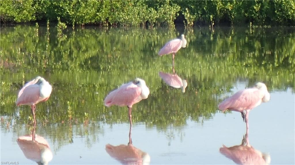 21420 Bay Village DR # 216, FORT MYERS BEACH FL 33931-30