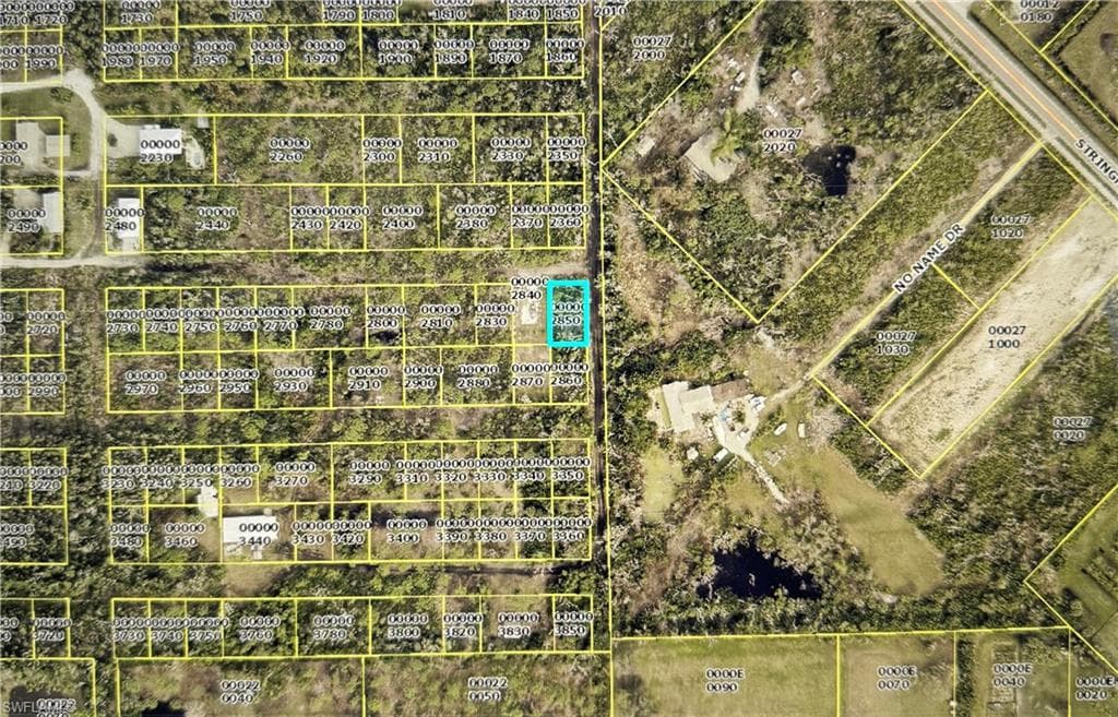7001 Guava AVE-1