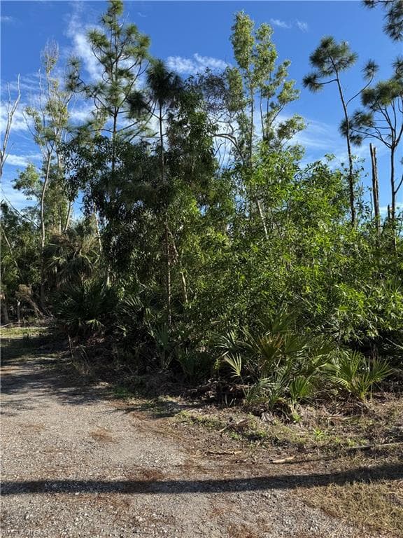 7001 Guava AVE-5