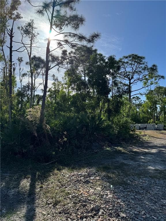 7001 Guava AVE-8