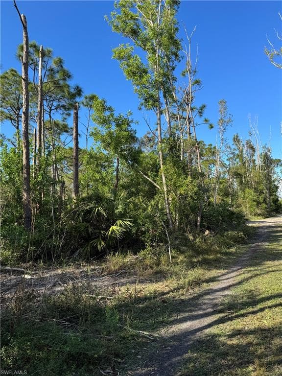 7001 Guava AVE-10
