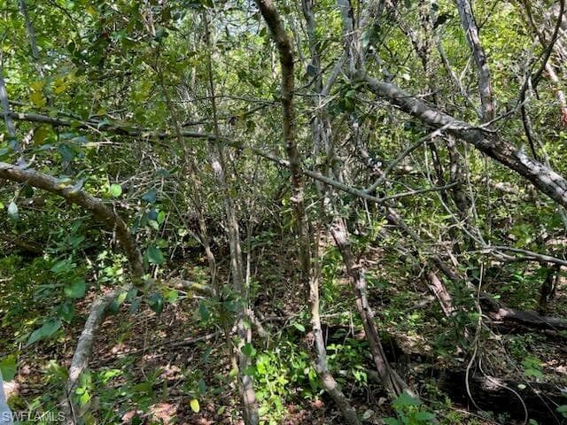 0 No Access Road, EVERGLADES CITY FL 34139-5