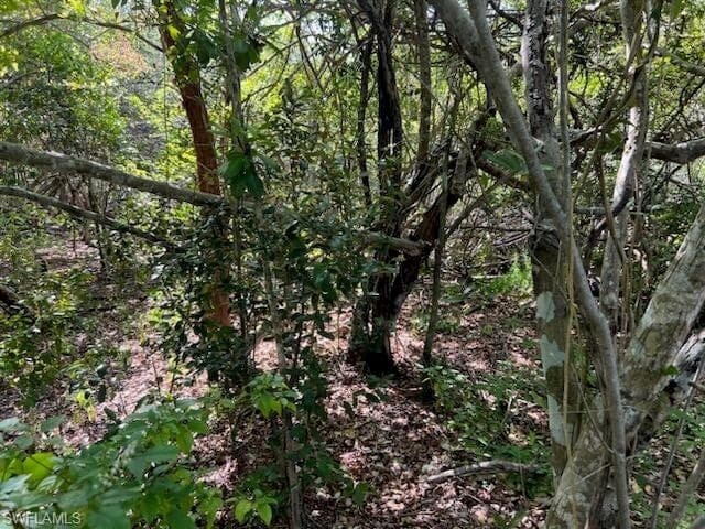 0 No Access Road, EVERGLADES CITY FL 34139-6