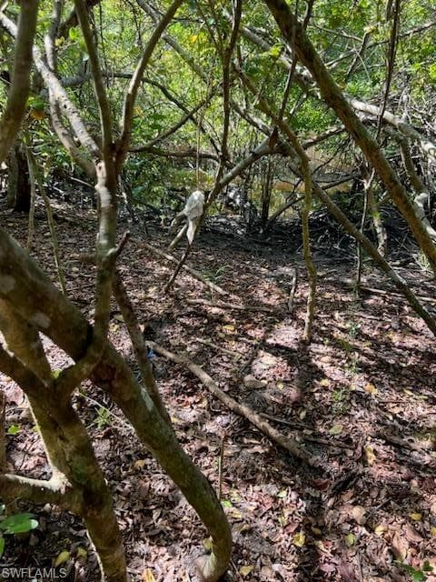 0 No Access Road, EVERGLADES CITY FL 34139-4