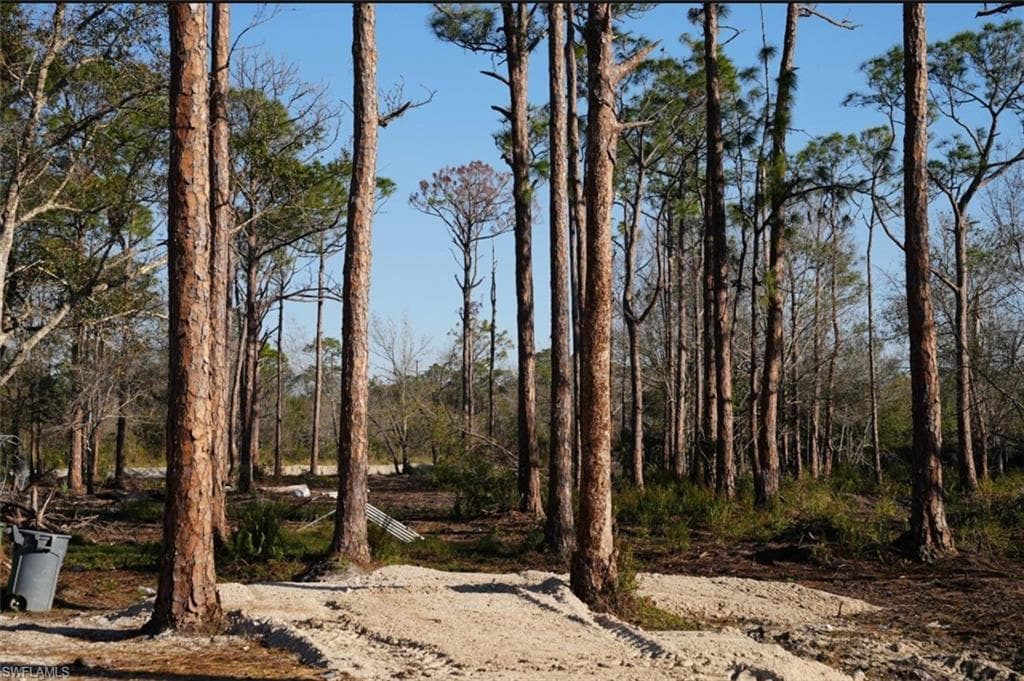 22511 Williams DR, NORTH FORT MYERS FL 33917-5