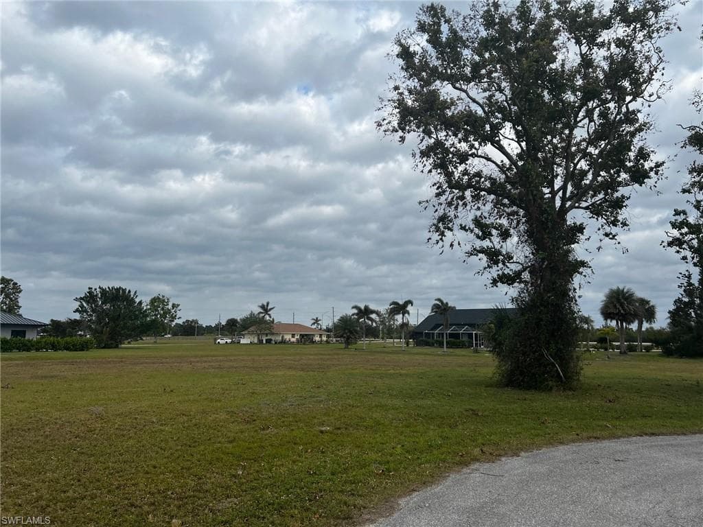 17154 Sugar CT-16