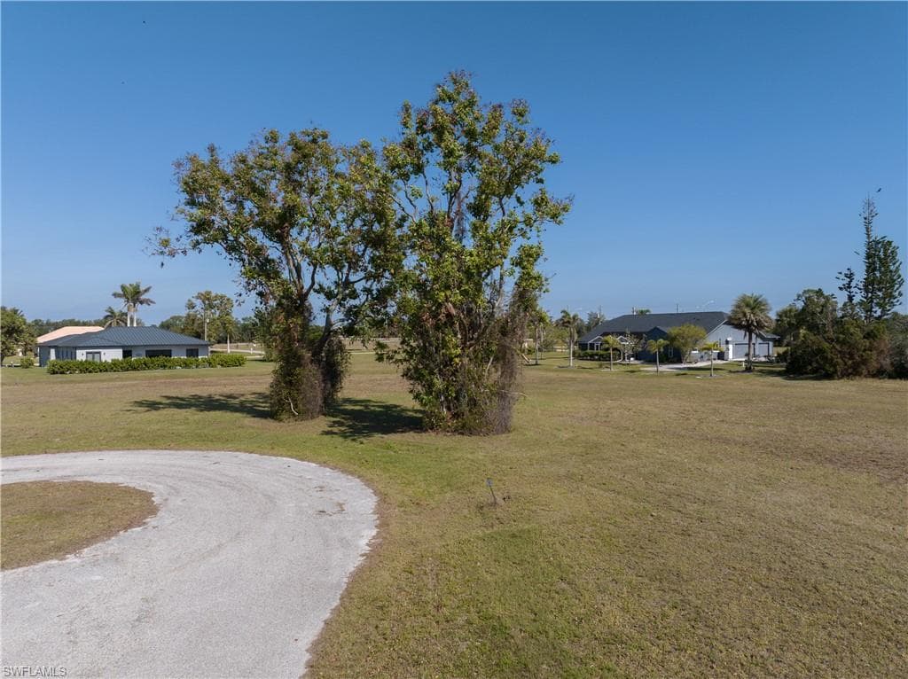 17154 Sugar CT-14