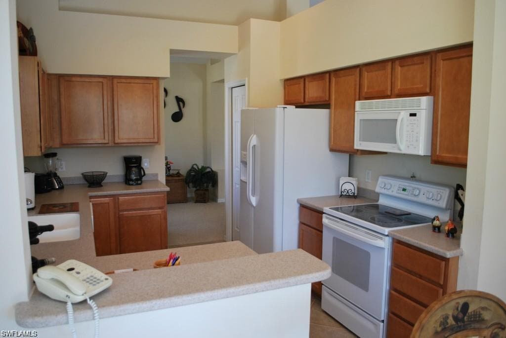 1585 Winding Oaks WAY # 203, NAPLES FL 34109-19