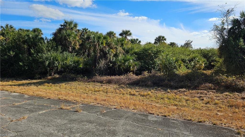 811 Opal CT, LABELLE FL 33935-16