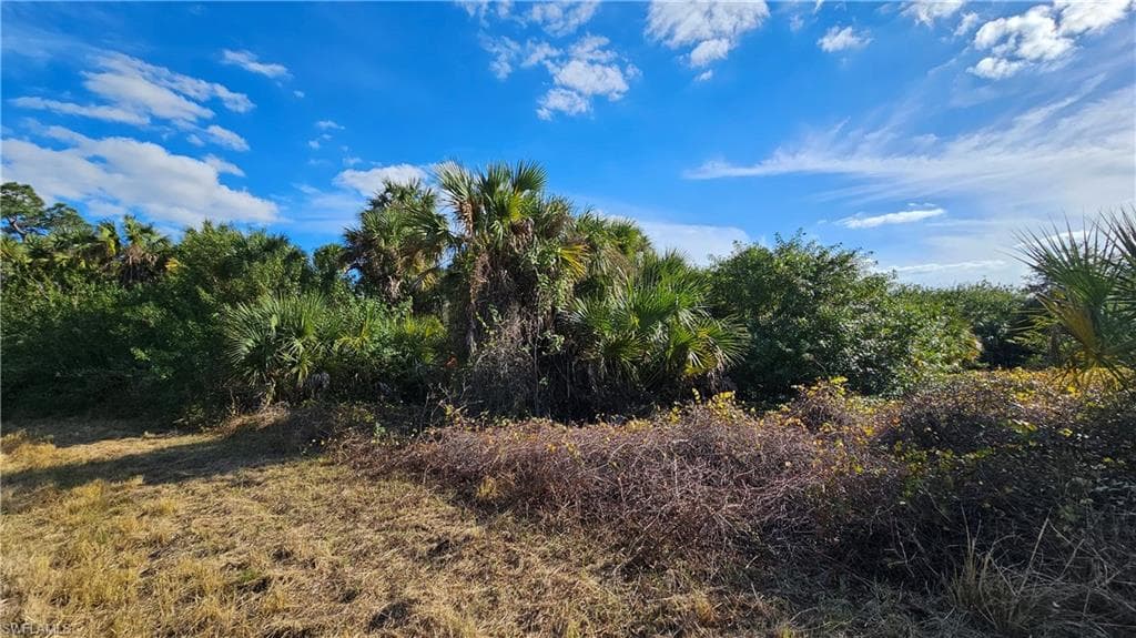 811 Opal CT, LABELLE FL 33935-11
