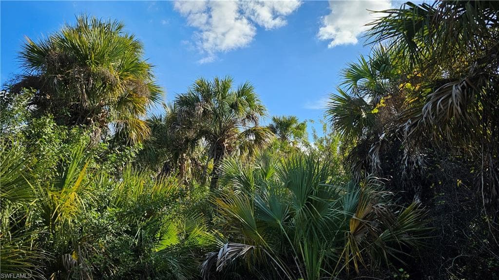 811 Opal CT, LABELLE FL 33935-2