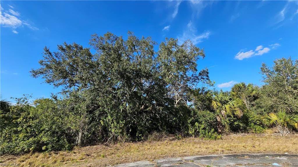 811 Opal CT, LABELLE FL 33935-10