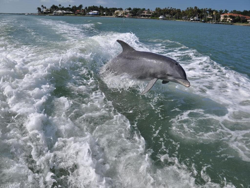 206 Newport DR # 805, NAPLES FL 34114-41