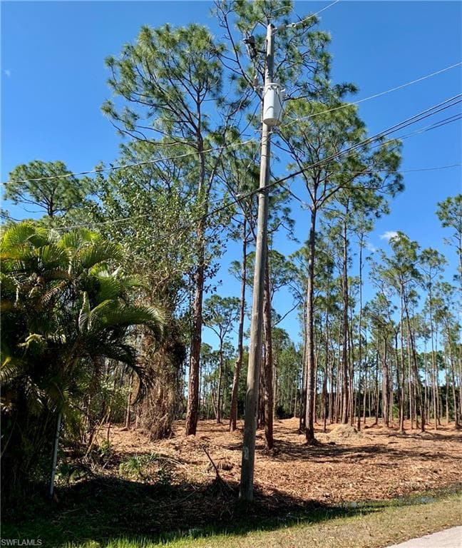 24032 Golden Eagle LN-0