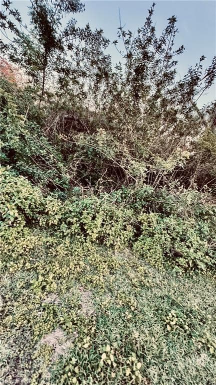 Abbotsford ST, NORTH PORT FL 34287-6