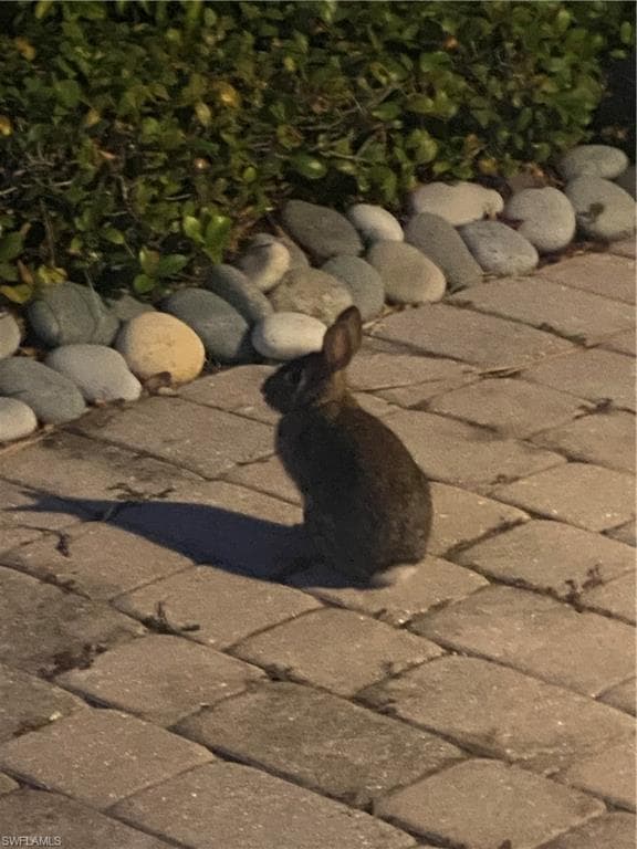 306 Emerald Bay CIR # J5, NAPLES FL 34110-5