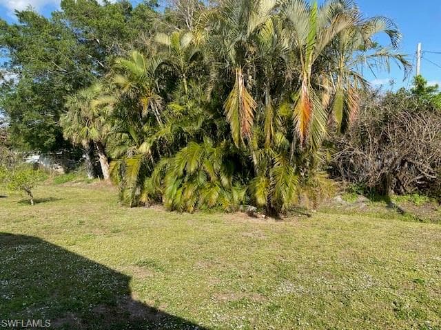 2738 Indianwood DR, NORTH FORT MYERS FL 33917-13