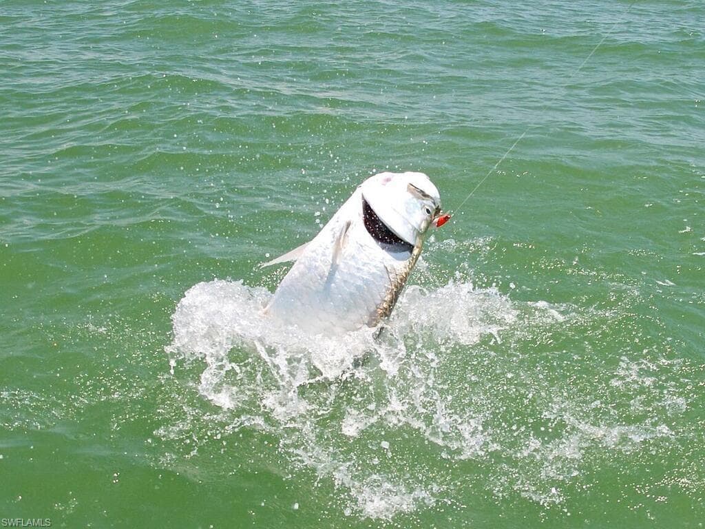 111 Morning Star Cay, NAPLES FL 34114-44