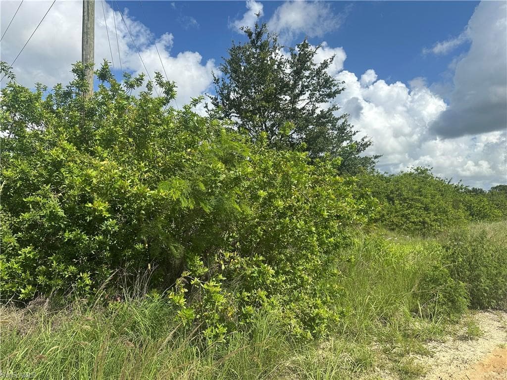 7716 Wheeler RD, LABELLE FL 33935-1