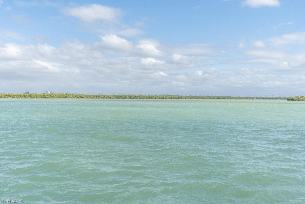 10 Tampa PL # 203, MARCO ISLAND FL 34145-29