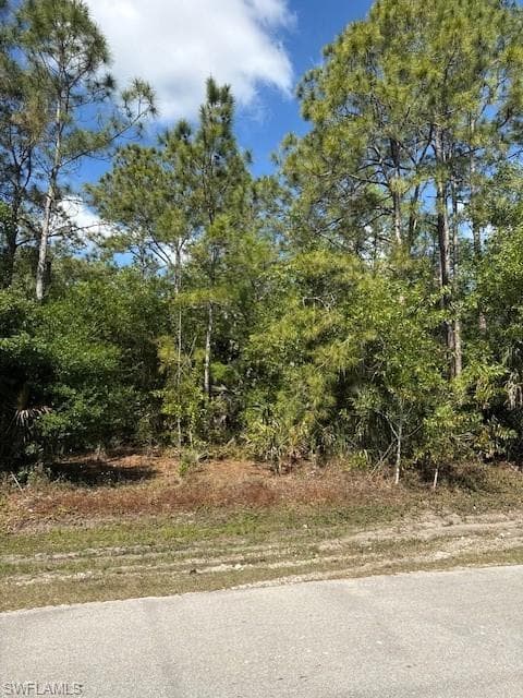 Wilson BLVD N, NAPLES FL 34120-6