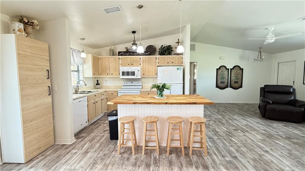 18161 Interlochen LN, ALVA FL 33920-6