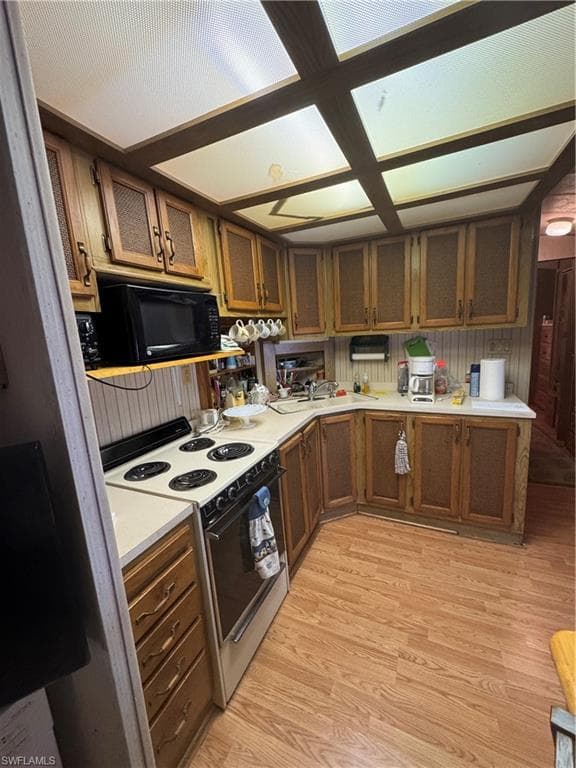 10848 Bonapartes Gull, ESTERO FL 33928-11