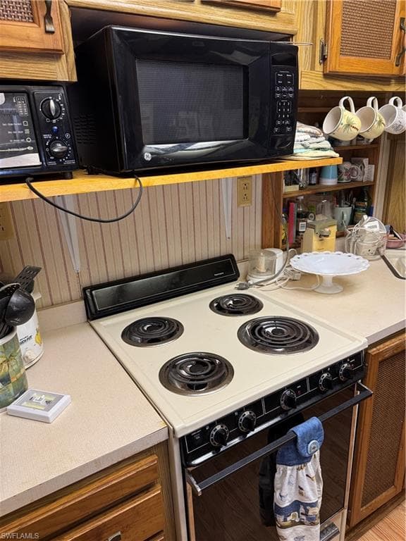 10848 Bonapartes Gull, ESTERO FL 33928-10