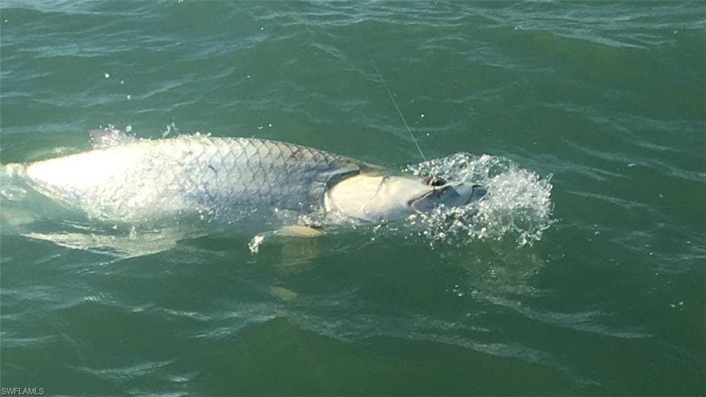 147 Capri BLVD, NAPLES FL 34113-16